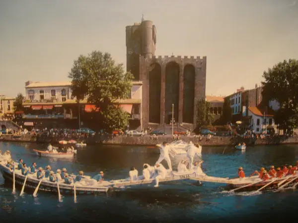 Monte Escalier Sérénité Pose monte escalier Agde