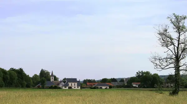 Monte Escalier Sérénité Pose monte escalier Allier
