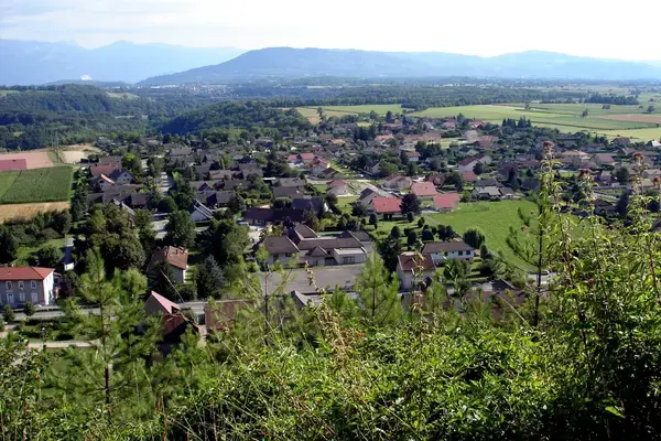 Monte Escalier Sérénité Pose monte escalier Apprieu