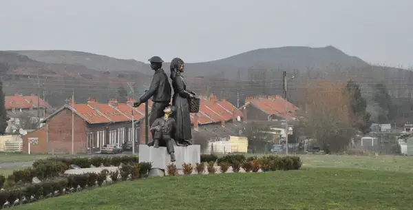Monte Escalier Sérénité Pose monte escalier Auchel