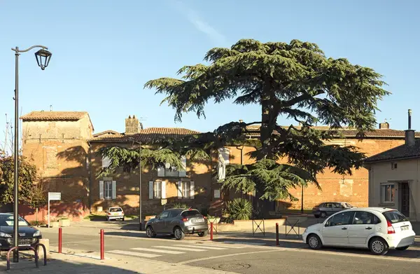 Monte Escalier Sérénité Pose monte escalier Aussonne