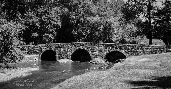 Monte Escalier Sérénité Pose monte escalier Azay-le-Brûlé