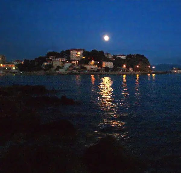Monte Escalier Sérénité Pose monte escalier Bandol