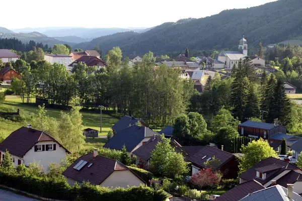 Monte Escalier Sérénité Pose monte escalier Bellefontaine