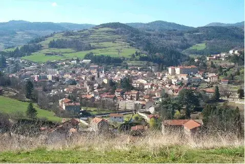 Monte Escalier Sérénité Pose monte escalier Bourg-Argental
