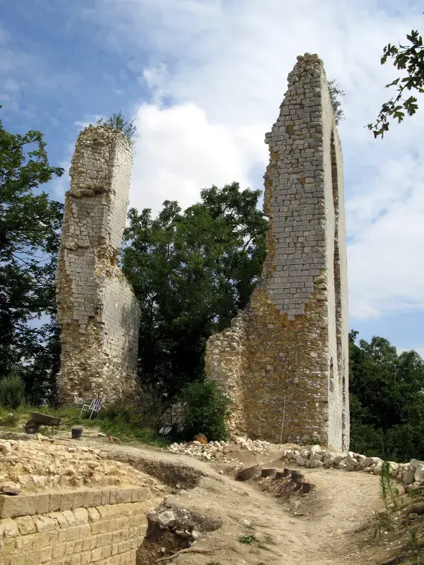 Monte Escalier Sérénité Pose monte escalier Boves