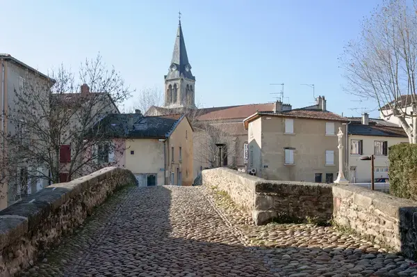 Monte Escalier Sérénité Pose monte escalier Brignais