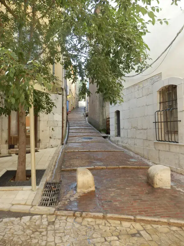 Monte Escalier Sérénité Pose monte escalier Brignoles