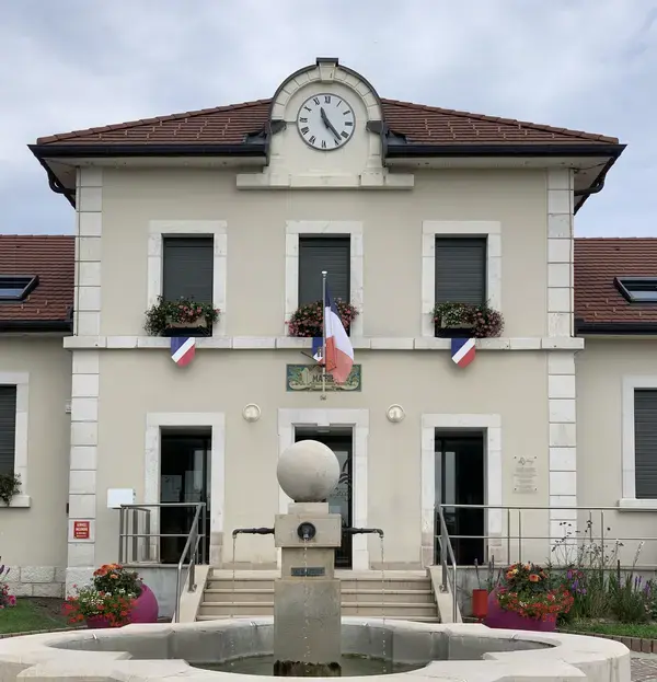 Monte Escalier Sérénité Pose monte escalier Cessy