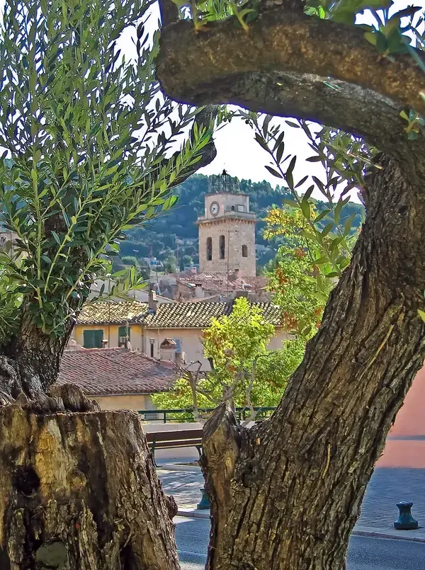 Monte Escalier Sérénité Pose monte escalier Ceyreste