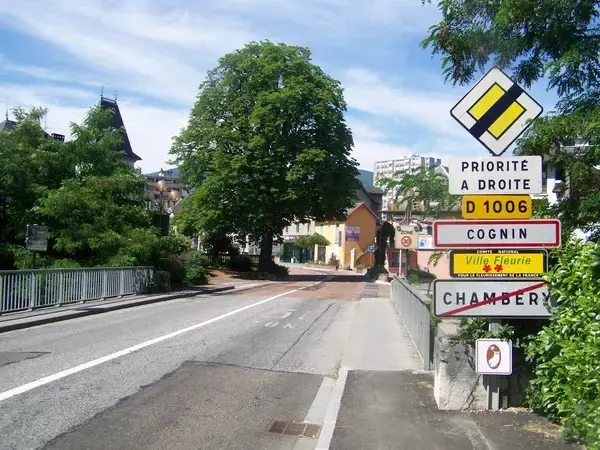 Monte Escalier Sérénité Pose monte escalier Cognin