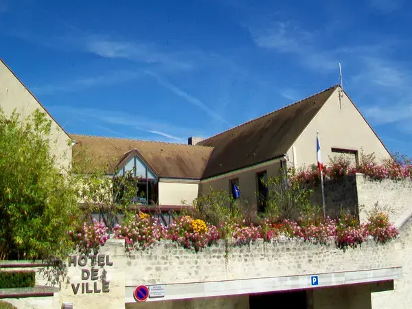 Monte Escalier Sérénité Pose monte escalier Courdimanche