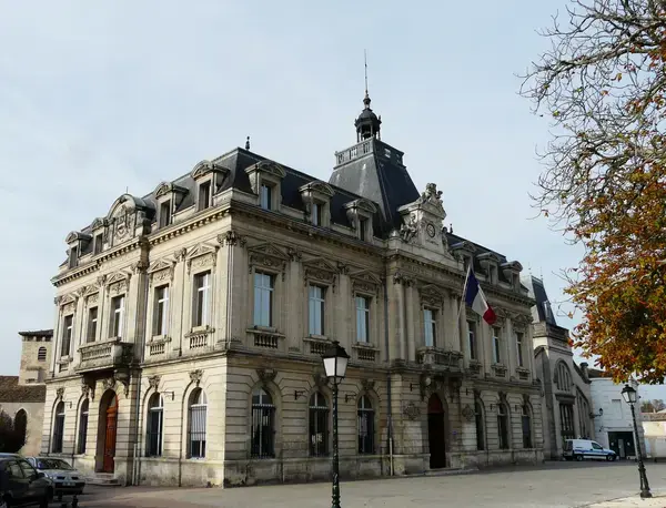 Monte Escalier Sérénité Pose monte escalier Coutras