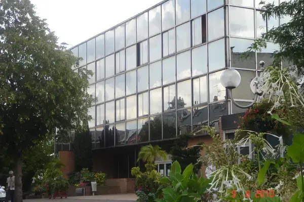 Monte Escalier Sérénité Pose monte escalier Denain