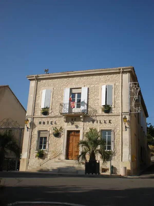 Monte Escalier Sérénité Pose monte escalier Donzère