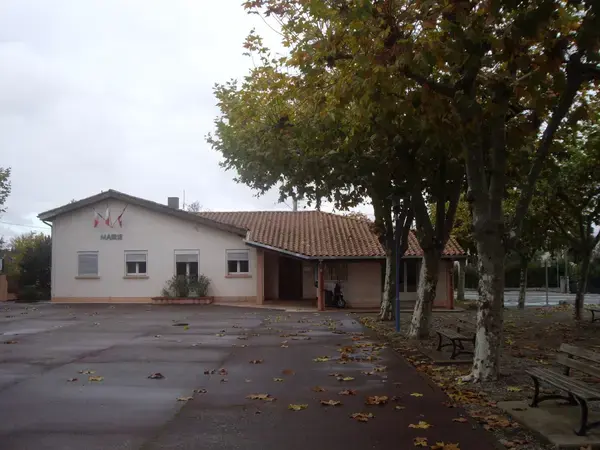 Monte Escalier Sérénité Pose monte escalier Fonbeauzard