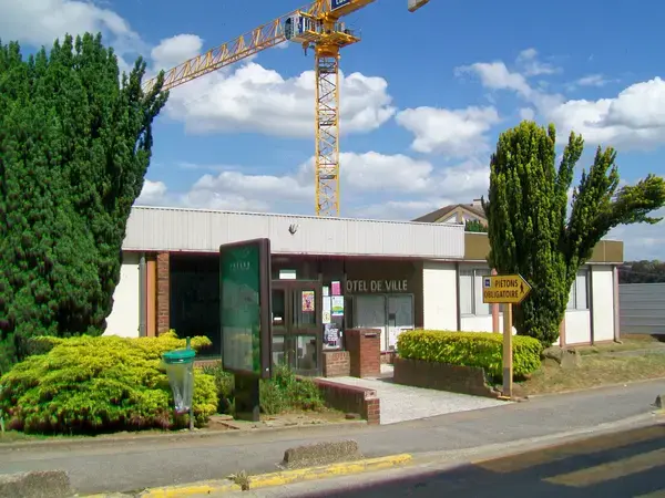 Monte Escalier Sérénité Pose monte escalier Fosses