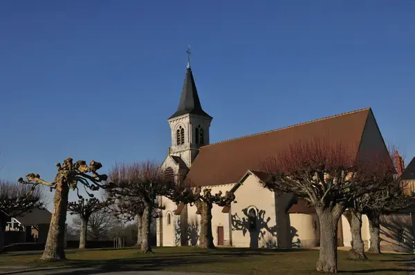 Monte Escalier Sérénité Pose monte escalier Fougerolles