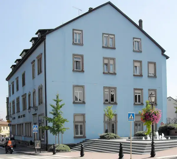 Monte Escalier Sérénité Pose monte escalier Hégenheim