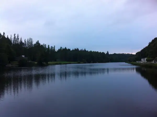 Monte Escalier Sérénité Pose monte escalier Inzinzac-Lochrist