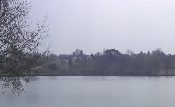 Monte Escalier Sérénité Pose monte escalier La Bazoge