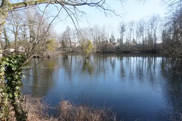 Monte Escalier Sérénité Pose monte escalier La Chapelle-Saint-Luc