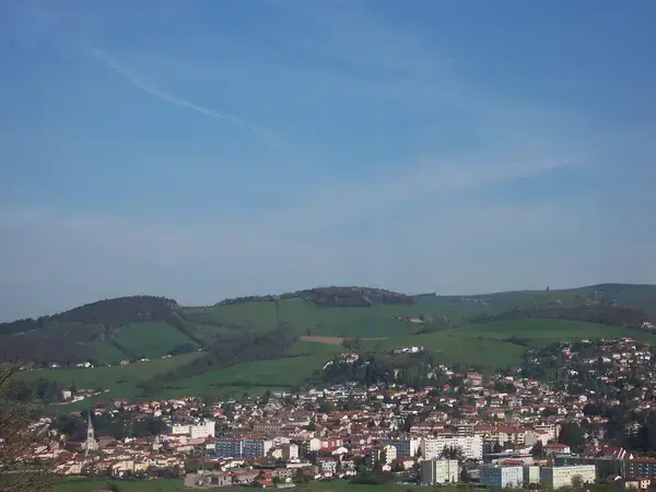 Monte Escalier Sérénité Pose monte escalier La Talaudière