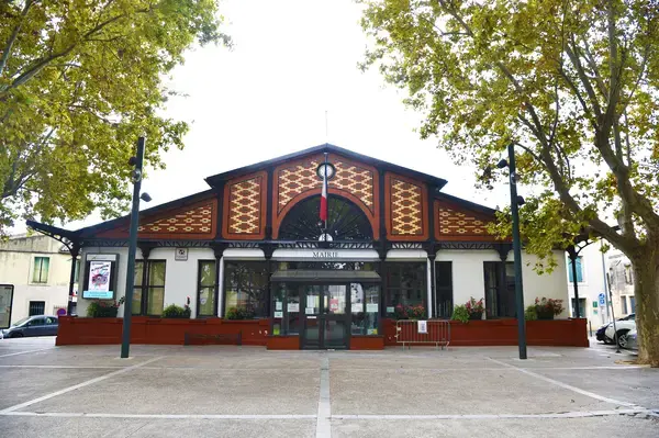Monte Escalier Sérénité Pose monte escalier Lansargues