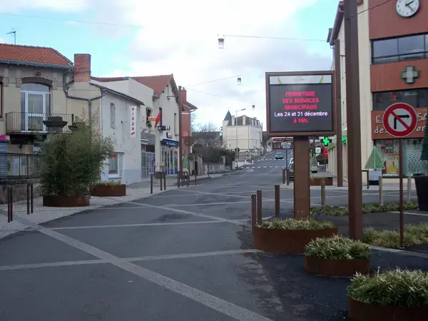 Monte Escalier Sérénité Pose monte escalier Le Cendre