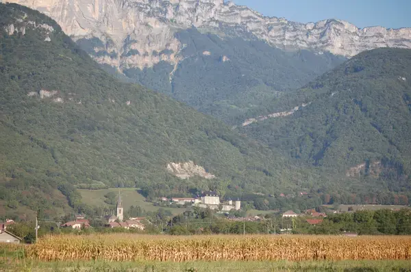 Monte Escalier Sérénité Pose monte escalier Le Touvet