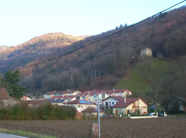 Monte Escalier Sérénité Pose monte escalier Le Versoud
