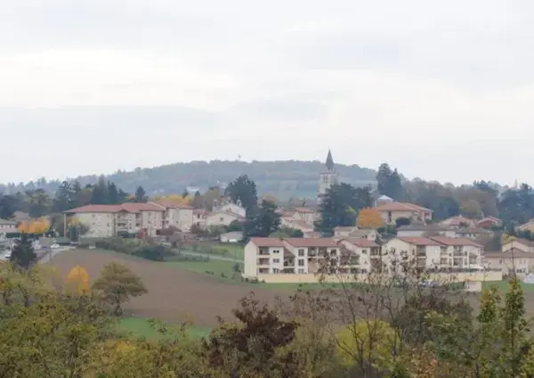 Monte Escalier Sérénité Pose monte escalier Lentilly
