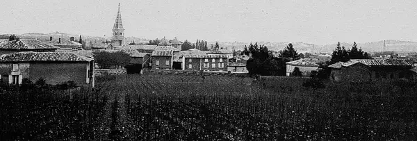 Monte Escalier Sérénité Pose monte escalier Limas