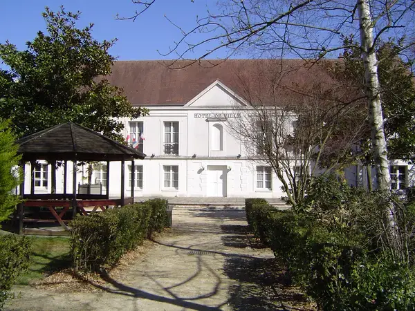 Monte Escalier Sérénité Pose monte escalier Lognes