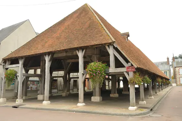 Monte Escalier Sérénité Pose monte escalier Lorris