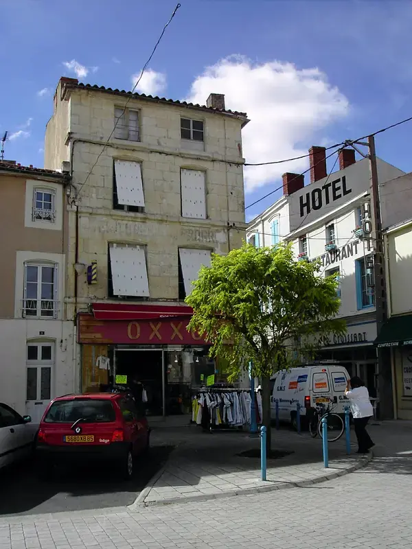 Monte Escalier Sérénité Pose monte escalier Luçon