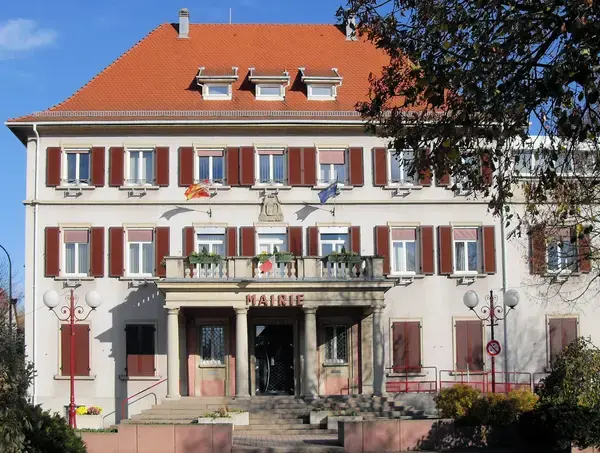 Monte Escalier Sérénité Pose monte escalier Lutterbach