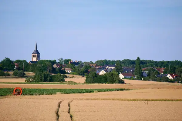 Monte Escalier Sérénité Pose monte escalier Mardié