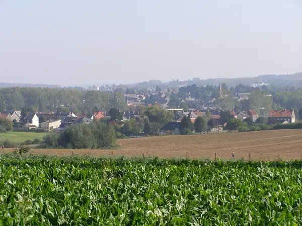 Monte Escalier Sérénité Pose monte escalier Marpent