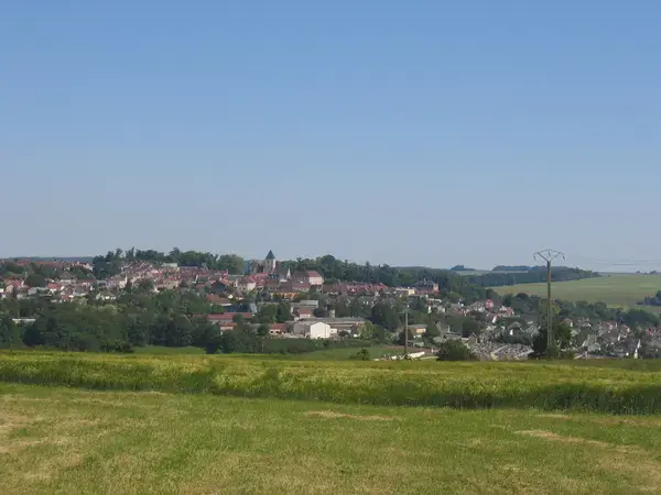 Monte Escalier Sérénité Pose monte escalier Montmirail