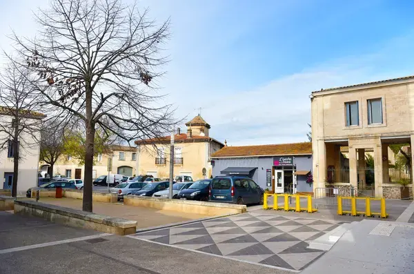Monte Escalier Sérénité Pose monte escalier Mudaison