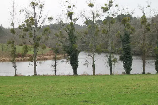 Monte Escalier Sérénité Pose monte escalier Muzillac