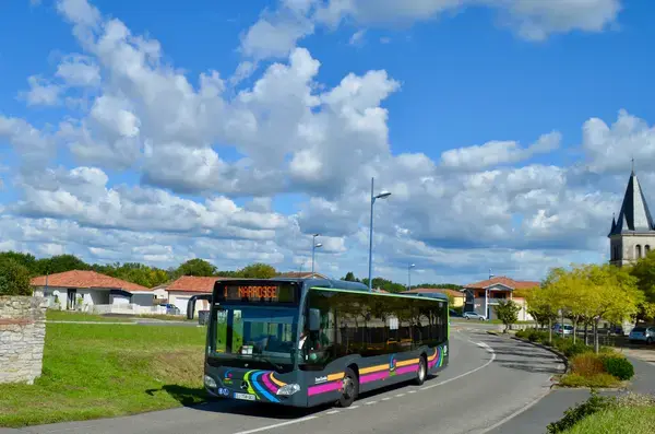 Monte Escalier Sérénité Pose monte escalier Narrosse