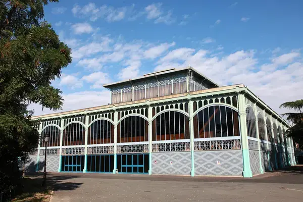 Monte Escalier Sérénité Pose monte escalier Nogent-sur-Marne