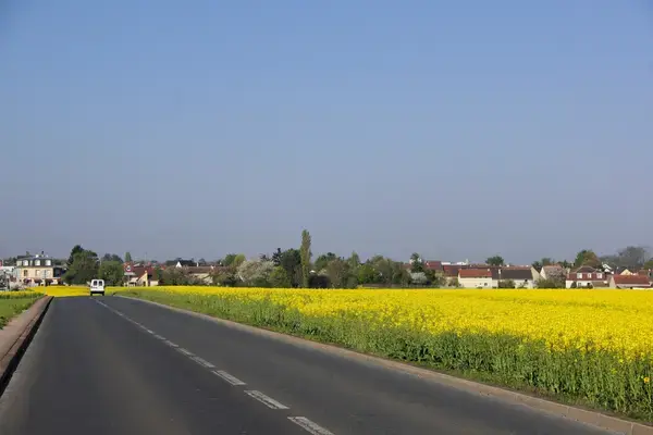 Monte Escalier Sérénité Pose monte escalier Noiseau
