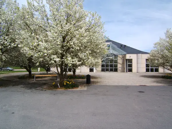 Monte Escalier Sérénité Pose monte escalier Olemps
