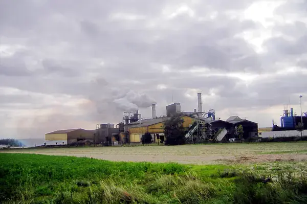 Monte Escalier Sérénité Pose monte escalier Ormes