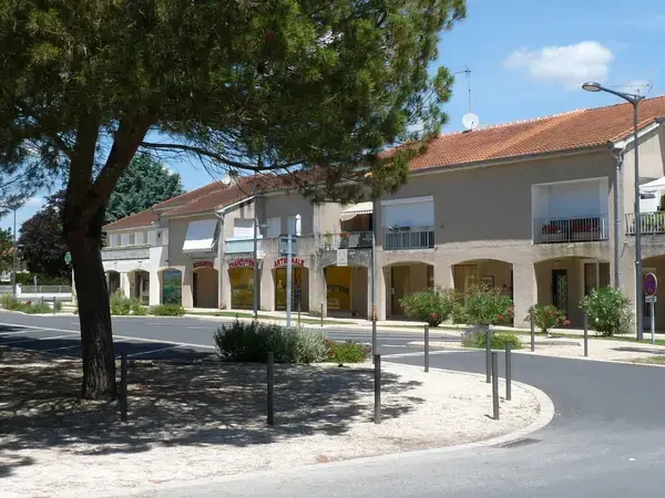 Monte Escalier Sérénité Pose monte escalier Pineuilh