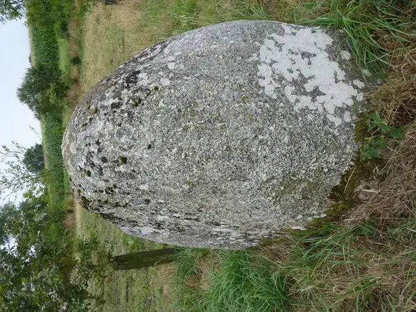 Monte Escalier Sérénité Pose monte escalier Plaintel