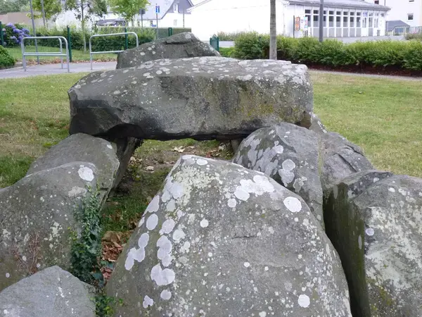 Monte Escalier Sérénité Pose monte escalier Ploufragan